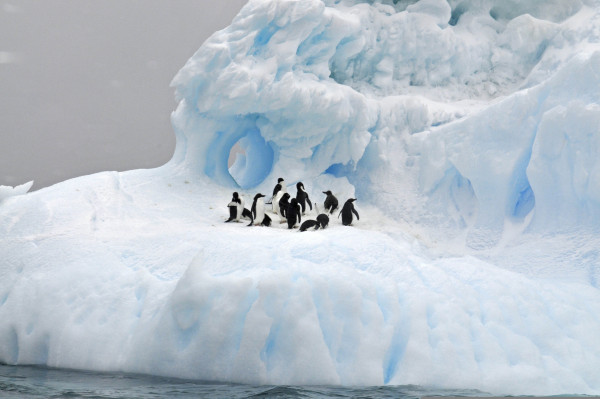 N146 - Novel